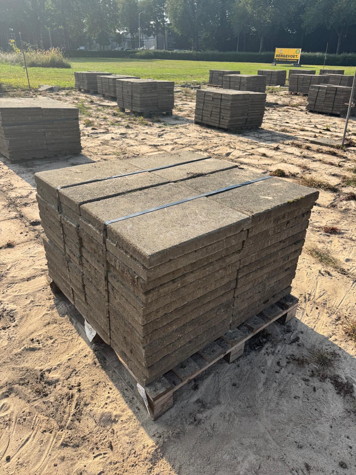 WhatsApp Image 2026-03-20 at 16.52.36