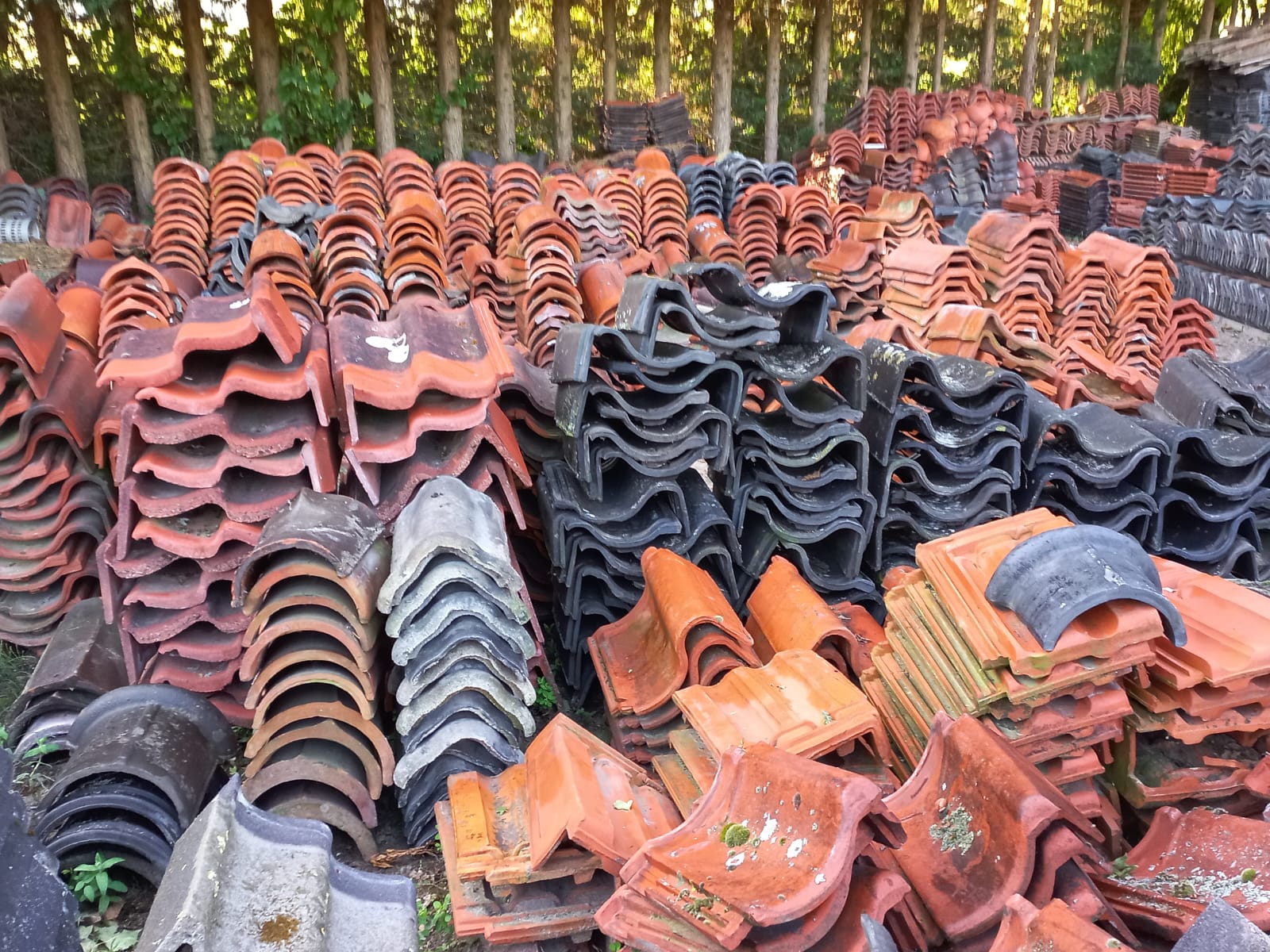 WhatsApp Image 2026-04-18 at 12.46.51 (1)